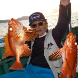 第二むつ漁丸 釣果