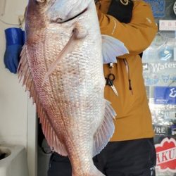 遊漁船 ニライカナイ 釣果