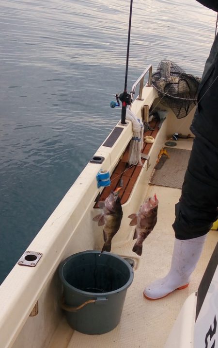 弘福丸 釣果