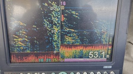 遊漁船　ニライカナイ 釣果