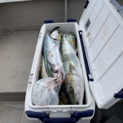 第八大安丸 釣果