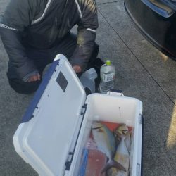 第五慶門丸 釣果