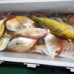 第二むつ漁丸 釣果