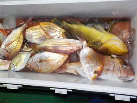 第二むつ漁丸 釣果