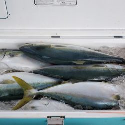 遊漁船 ニライカナイ 釣果