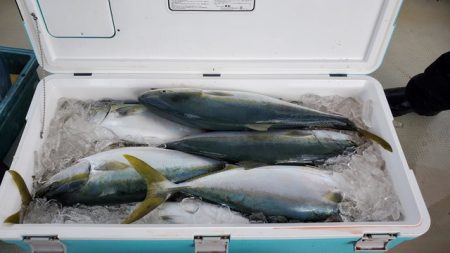 遊漁船 ニライカナイ 釣果