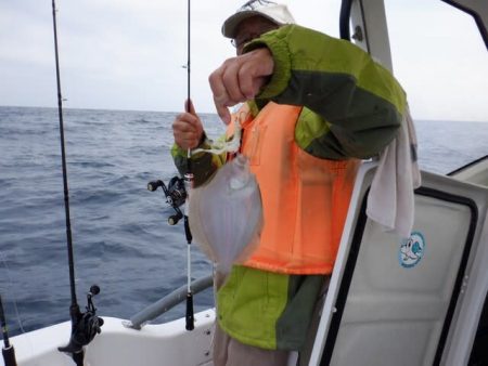 開進丸 釣果