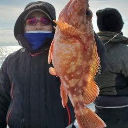 遊漁船 ニライカナイ 釣果