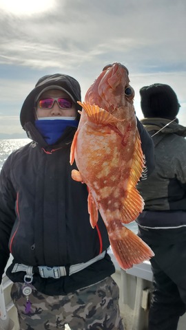 遊漁船 ニライカナイ 釣果