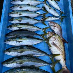 まるいち丸 ZERO-1 釣果