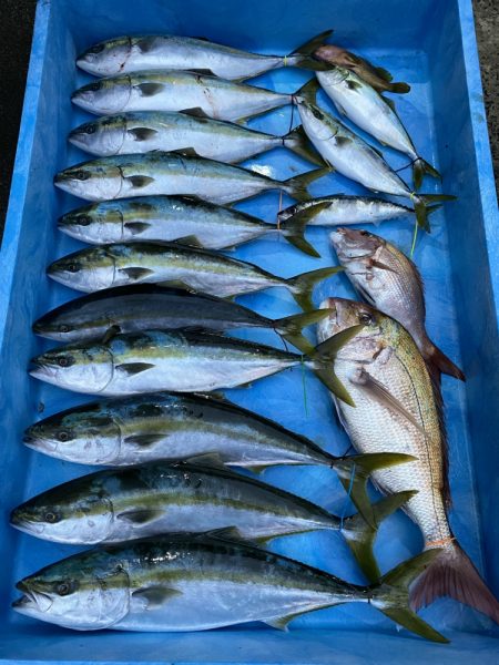 まるいち丸 ZERO-1 釣果