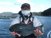 春日丸 釣果