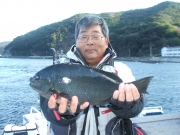 春日丸 釣果