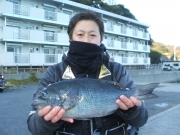 春日丸 釣果