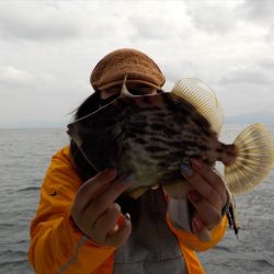 HARUKA丸 はるかまる 釣果