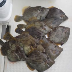 HARUKA丸 はるかまる 釣果