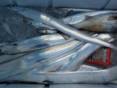 ＨＡＲＵＫＡ丸　はるかまる 釣果