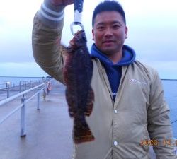 鹿島港魚釣園 釣果