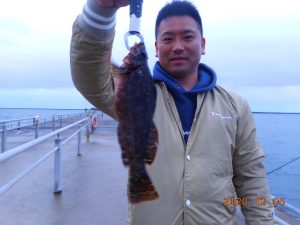 鹿島港魚釣園 釣果