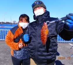 鹿島港魚釣園 釣果