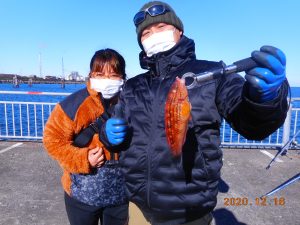 鹿島港魚釣園 釣果