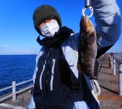 鹿島港魚釣園 釣果