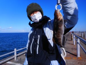 鹿島港魚釣園 釣果