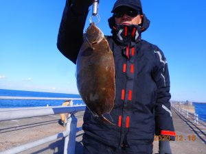 鹿島港魚釣園 釣果