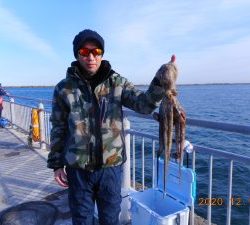 鹿島港魚釣園 釣果