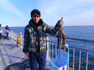 鹿島港魚釣園 釣果