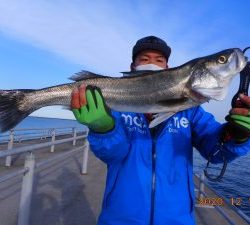 鹿島港魚釣園 釣果