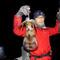フィッシングボート空風(そらかぜ) 釣果