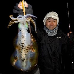 フィッシングボート空風(そらかぜ) 釣果