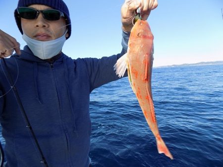 フィッシングボート空風(そらかぜ) 釣果