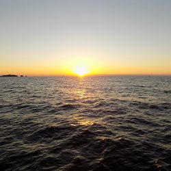 フィッシングボート空風（そらかぜ） 釣果