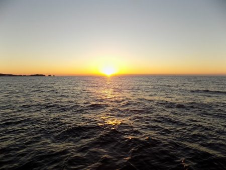 フィッシングボート空風（そらかぜ） 釣果