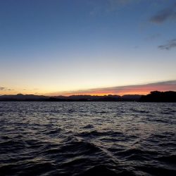 フィッシングボート空風(そらかぜ) 釣果