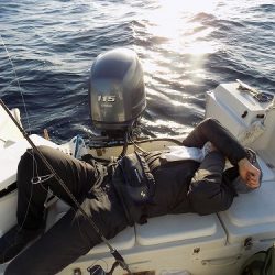 フィッシングボート空風(そらかぜ) 釣果