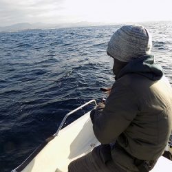 フィッシングボート空風(そらかぜ) 釣果