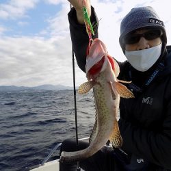 フィッシングボート空風(そらかぜ) 釣果