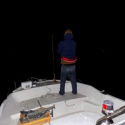 フィッシングボート空風(そらかぜ) 釣果