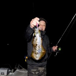 フィッシングボート空風(そらかぜ) 釣果