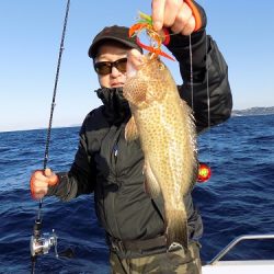 フィッシングボート空風(そらかぜ) 釣果