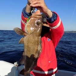 フィッシングボート空風(そらかぜ) 釣果