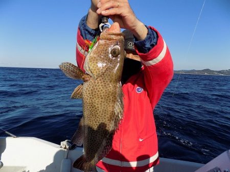 フィッシングボート空風(そらかぜ) 釣果