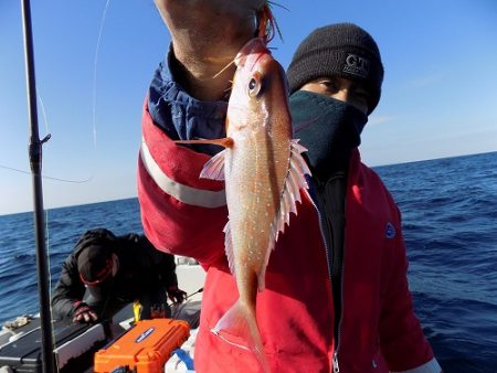 フィッシングボート空風(そらかぜ) 釣果