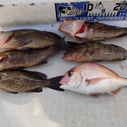 フィッシングボート空風(そらかぜ) 釣果