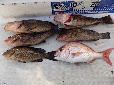 フィッシングボート空風(そらかぜ) 釣果