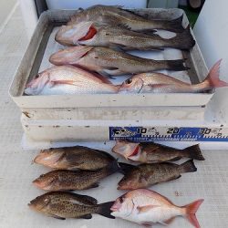 フィッシングボート空風(そらかぜ) 釣果