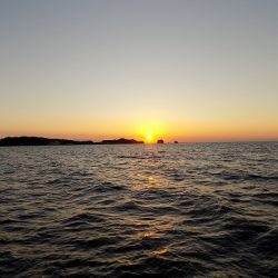 フィッシングボート空風（そらかぜ） 釣果